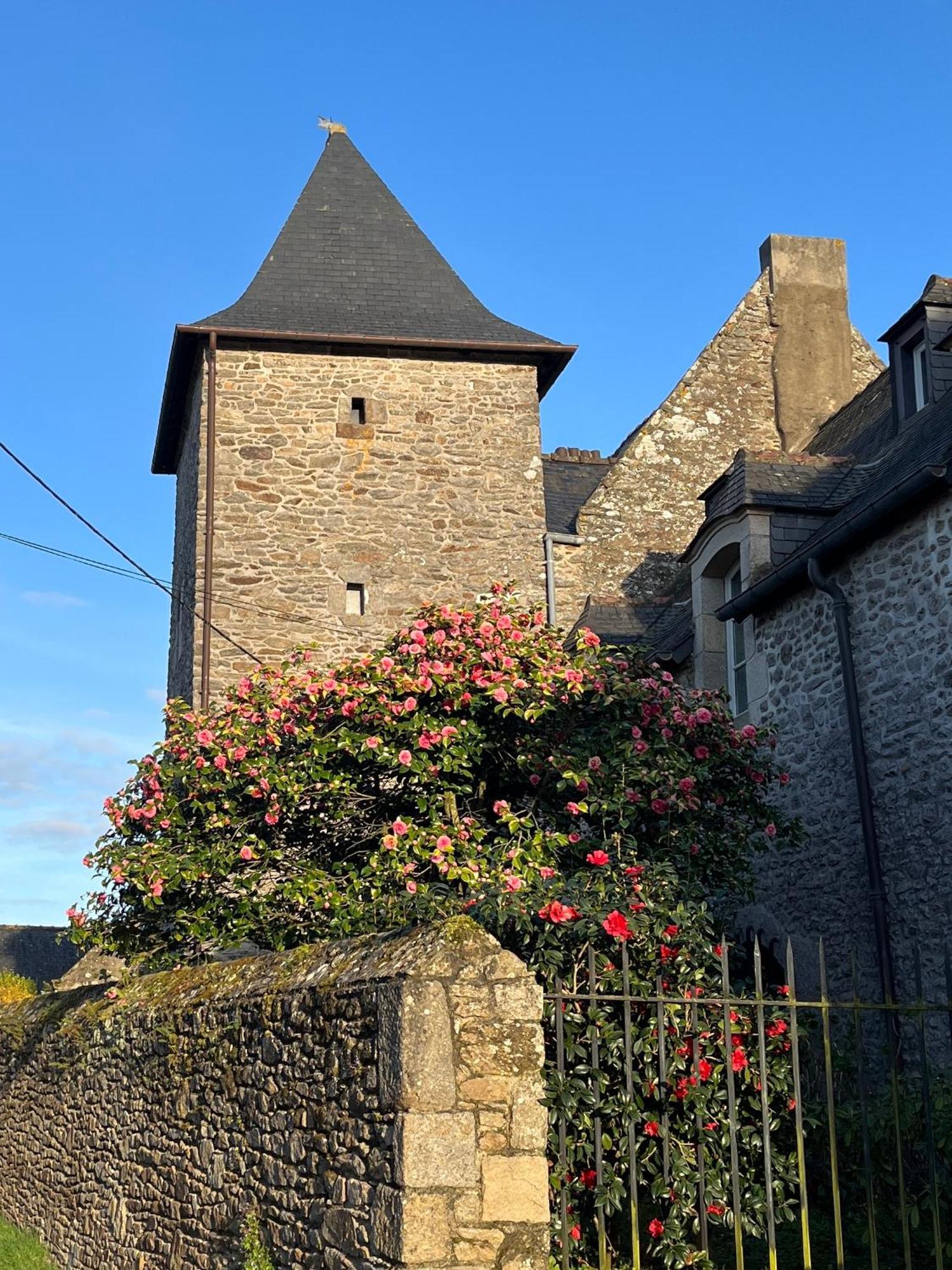 Bed and Breakfast Manoir Des Bords De Rance Plouër-sur-Rance Exterior foto