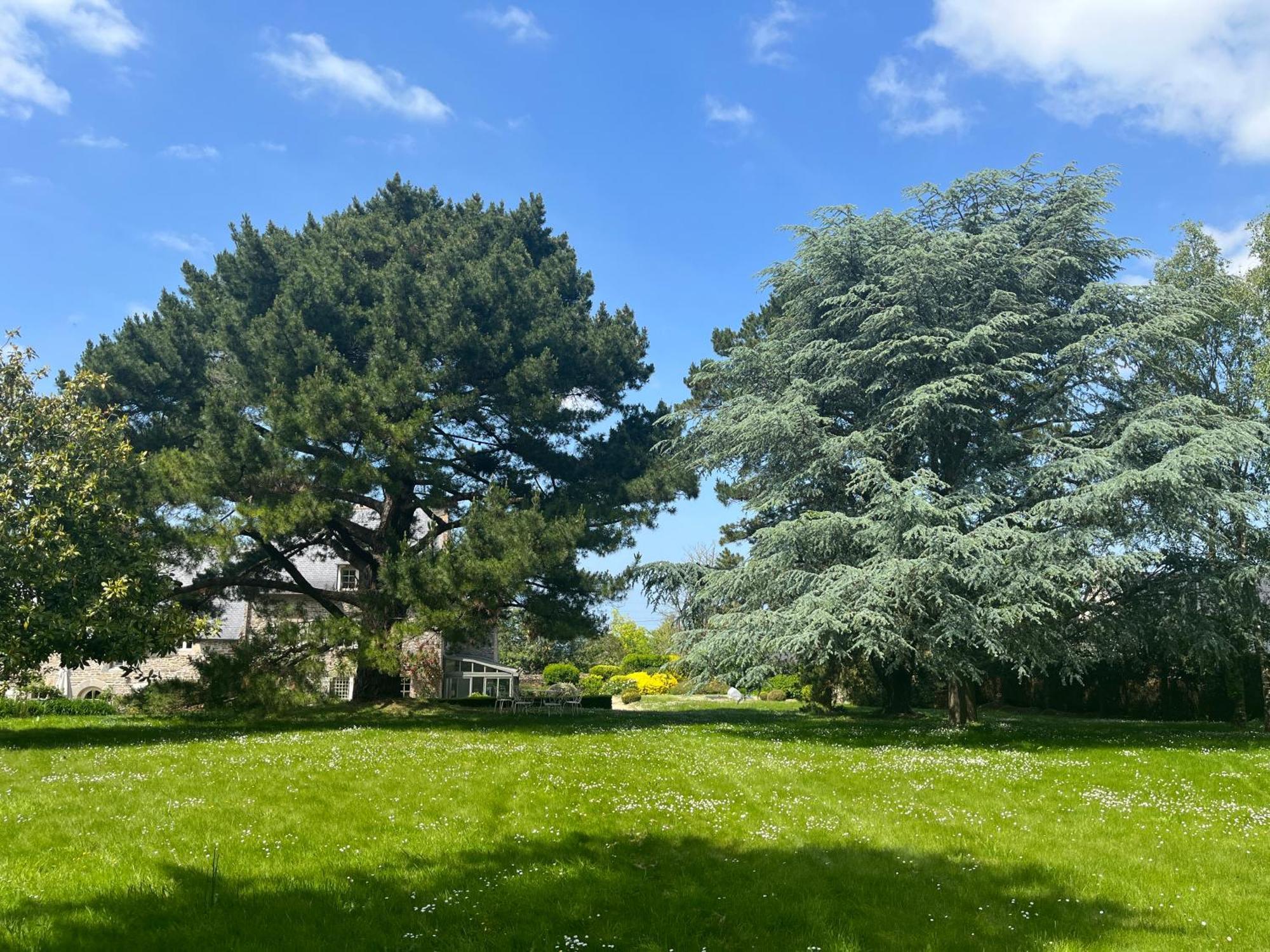Bed and Breakfast Manoir Des Bords De Rance Plouër-sur-Rance Exterior foto
