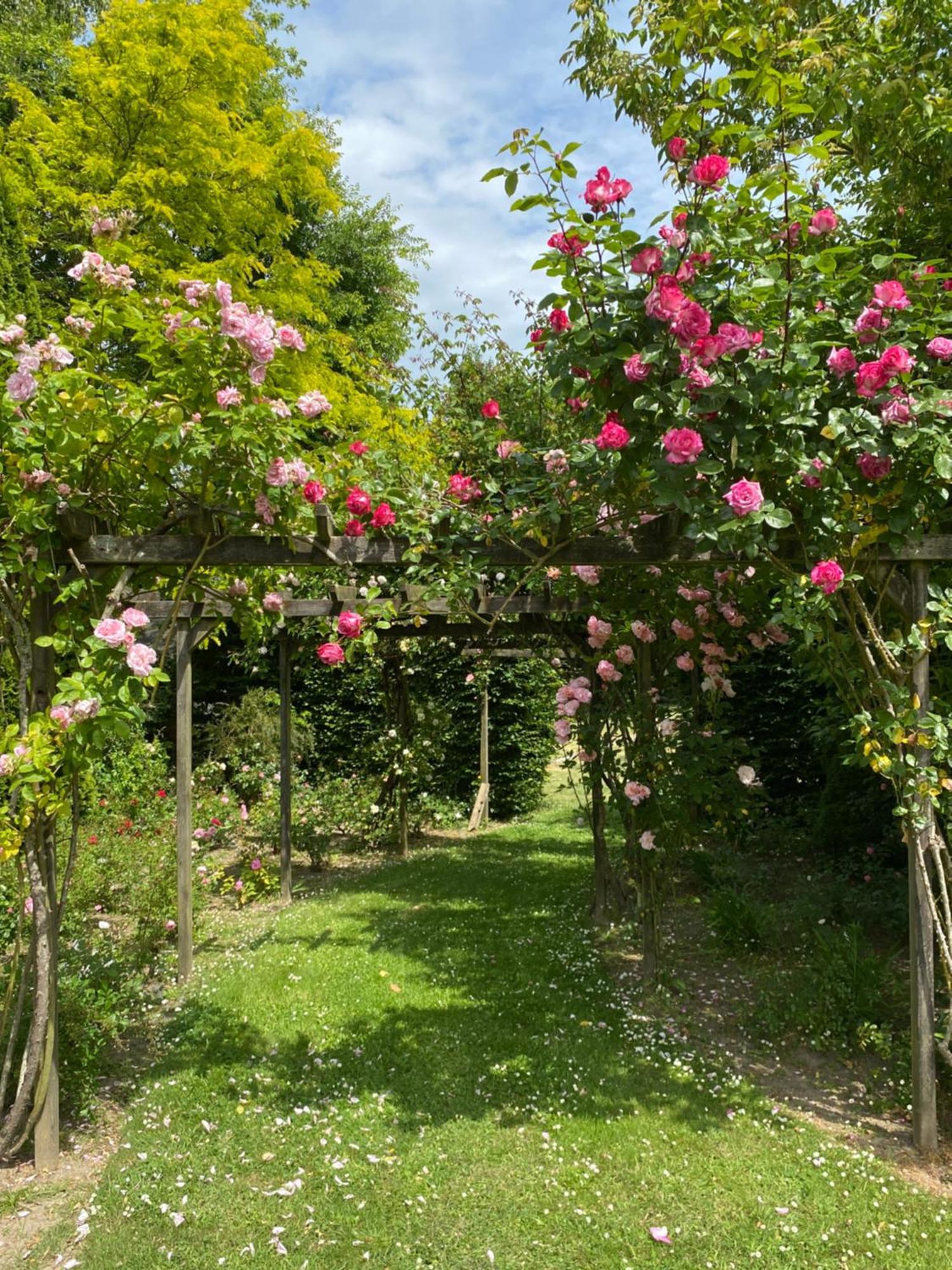 Bed and Breakfast Manoir Des Bords De Rance Plouër-sur-Rance Exterior foto