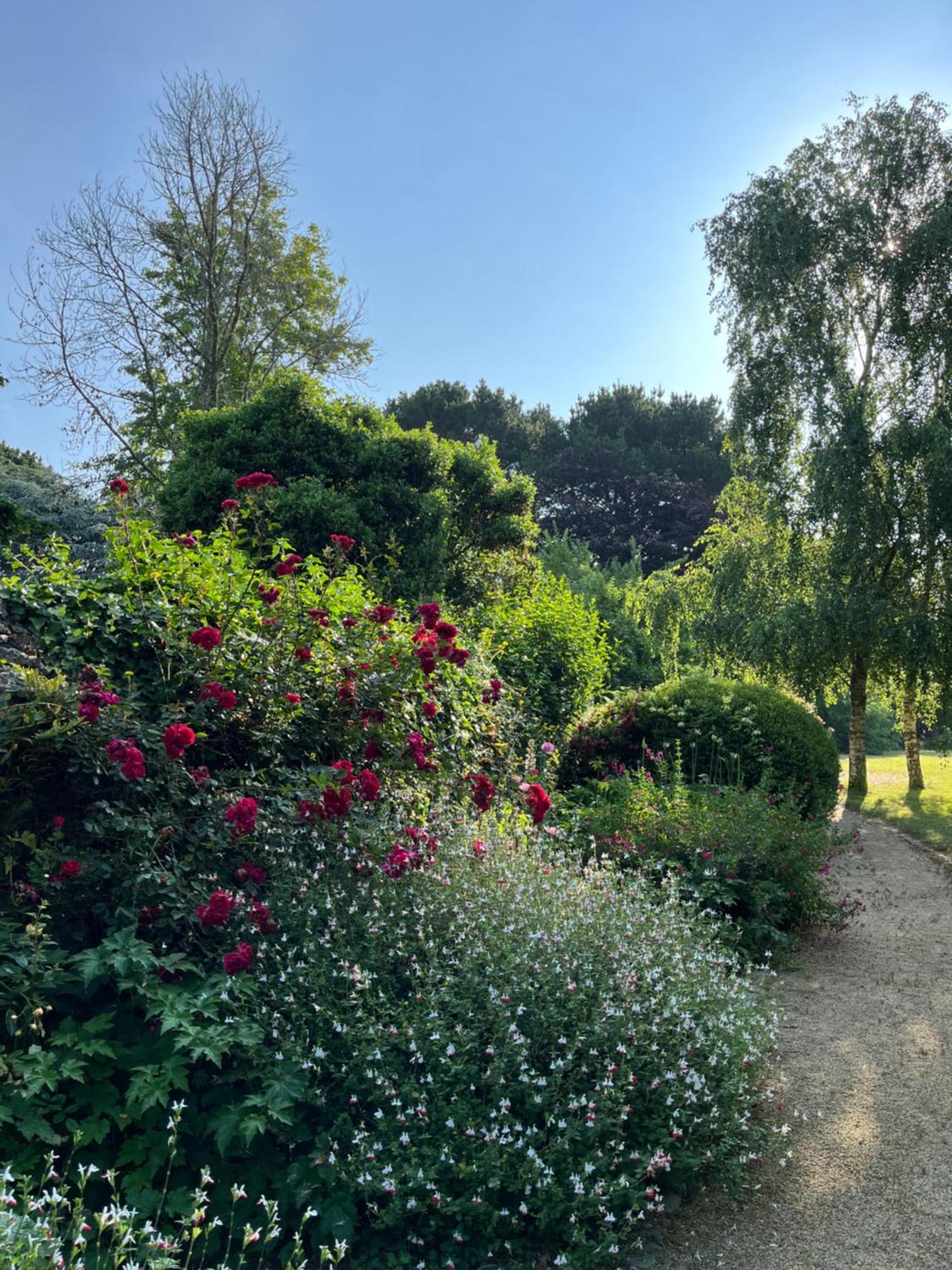 Bed and Breakfast Manoir Des Bords De Rance Plouër-sur-Rance Exterior foto